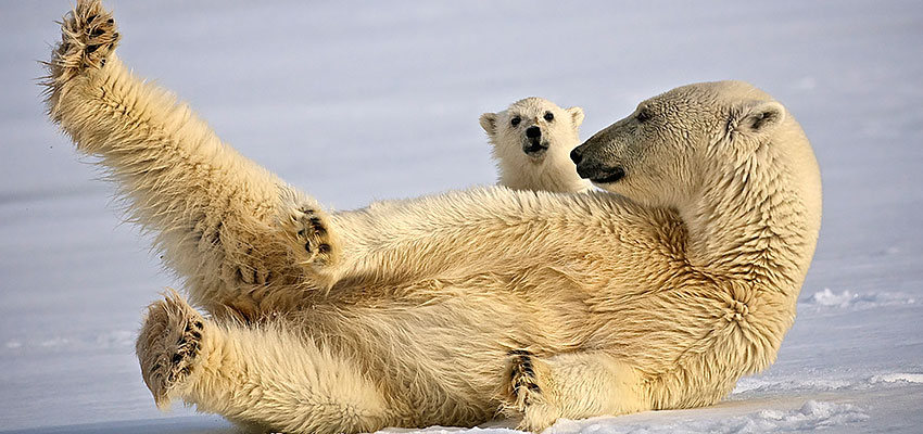 Hurtigruten med C Club Travel